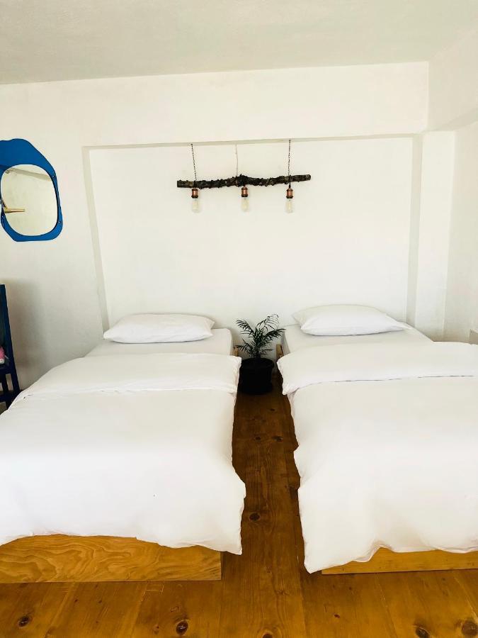 My Wooden Apartments Tirana Bagian luar foto